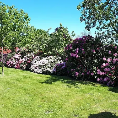 Poettker Bad Zwischenahn